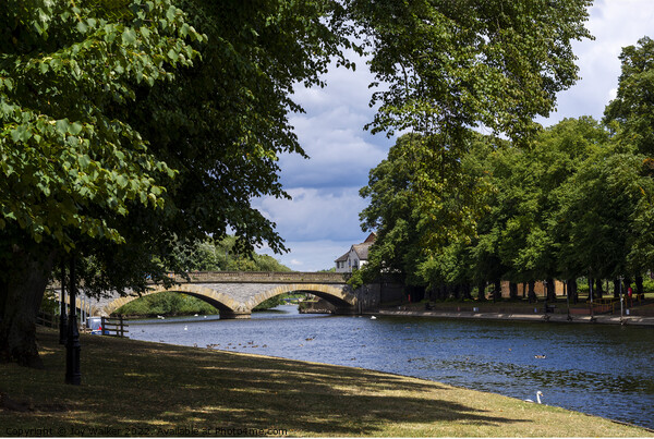 Evesham bridge and riverside walk, Worcestershire, Picture Board by Joy Walker