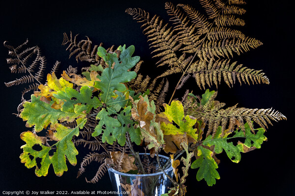 Plant leaves Picture Board by Joy Walker