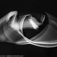 Buy canvas prints of Calla lily abstract image by Joy Walker