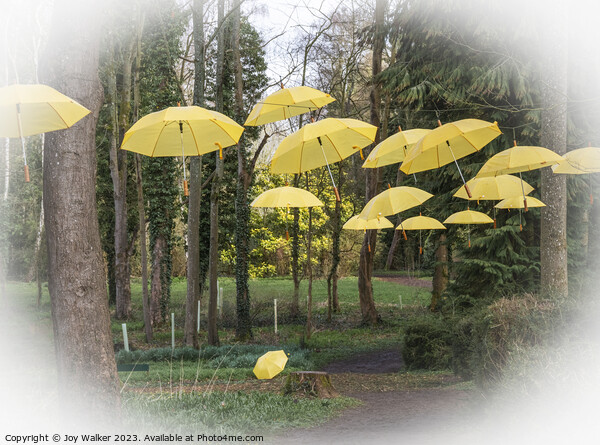 Hanging umbrellas Picture Board by Joy Walker