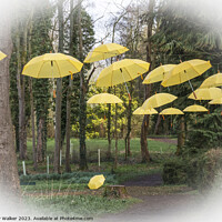 Buy canvas prints of Hanging umbrellas by Joy Walker