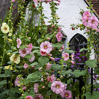 Buy canvas prints of A thatched cottage with Hollyhock flowers  by Joy Walker