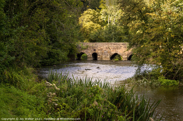 The ancient bridge at Lower Heyford Picture Board by Joy Walker