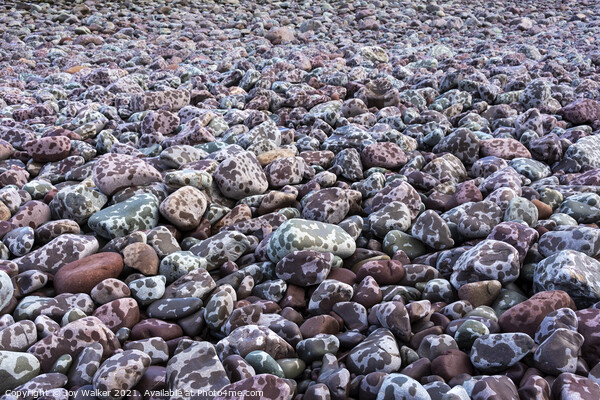 Pebbles on the seashore Picture Board by Joy Walker
