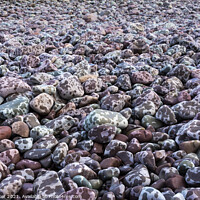 Buy canvas prints of Pebbles on the seashore by Joy Walker