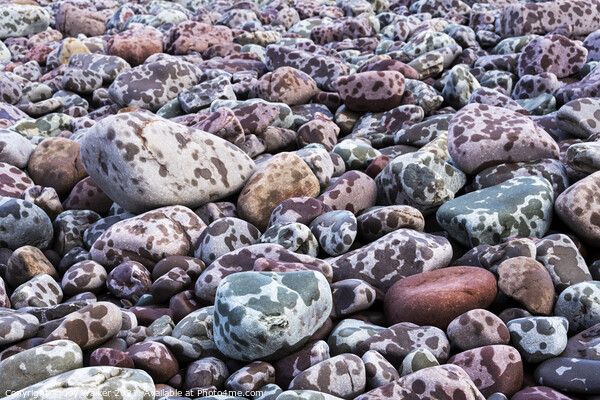 Pebbles on the seashore during a rain storm Picture Board by Joy Walker