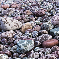 Buy canvas prints of Pebbles on the seashore during a rain storm by Joy Walker