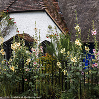 Buy canvas prints of A thatched cottage with Hollyhock flowers by Joy Walker