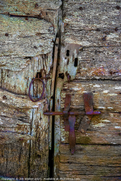 Detail of an old barn door showing the bolt and handle in a closed position Picture Board by Joy Walker