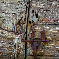 Buy canvas prints of Detail of an old barn door showing the bolt and handle in a closed position by Joy Walker
