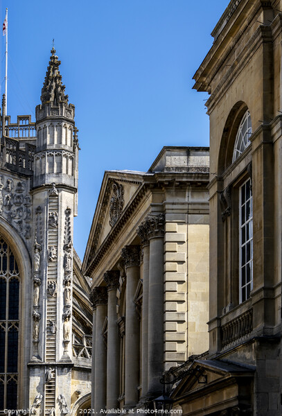 The amazing architecture of Bath Abbey, showing the ladders with climbing angels Picture Board by Joy Walker