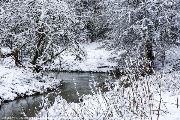 A river scene in the winter snow Picture Board by Joy Walker