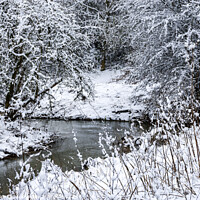 Buy canvas prints of A river scene in the winter snow by Joy Walker