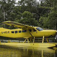 Buy canvas prints of CESSNA SEAPLANE YELLOW by Sue Wood