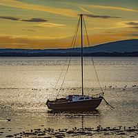 Buy canvas prints of Port Carlisle sunrise, sail boat at anchor. by Sue Wood