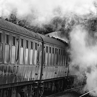 Buy canvas prints of Steam train carriages by Sue Wood