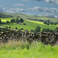 Buy canvas prints of Yorkshire Countryside.  by Ros Crosland