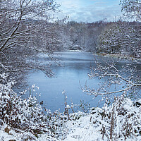 Buy canvas prints of A winter scene in Yorkshire.  by Ros Crosland
