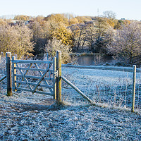Buy canvas prints of Early morning frost in the Yorkshire Countryside by Ros Crosland
