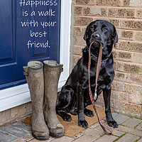 Buy canvas prints of Waiting for a dog walk by Ros Crosland
