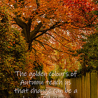 Buy canvas prints of Golden Leaves by Ros Crosland