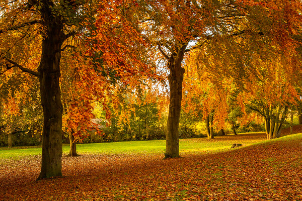 Autumn Colour Picture Board by Ros Crosland