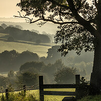 Buy canvas prints of Early morning mist in Yorkshire countryside.  by Ros Crosland