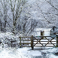 Buy canvas prints of A winter landscape in Yorkshire.  by Ros Crosland