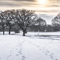 Buy canvas prints of Footprints in the Snow. by Ros Crosland
