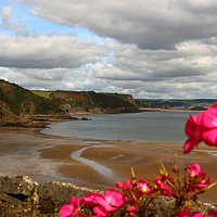 Buy canvas prints of A view with Flowers by J Hartley