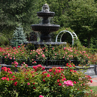 Buy canvas prints of Waterfountain amoung the roses by Jo Anne Keasler