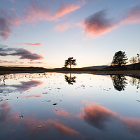 Buy canvas prints of Mirror Image, Kelly Hall Tarn Reflections by Phil MacDonald