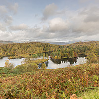 Buy canvas prints of Autumn at Tarn Hows by Phil MacDonald