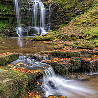 Buy canvas prints of Scaleber Force Waterfall in Autumn (portrait) by Phil MacDonald