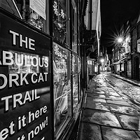Buy canvas prints of The Shambles, York : 07 of 07 Images (B&W) by Phil MacDonald