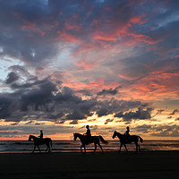 Buy canvas prints of Pantai Dalit beach in Borneo, Sunset Horse Riders by Phil MacDonald