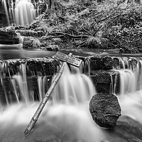 Buy canvas prints of Scaleber Force Waterfall in Autumn (B&W) by Phil MacDonald
