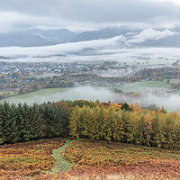 Buy canvas prints of Autumn in the Lakes, Keswick from Latrigg by Phil MacDonald