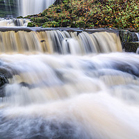 Buy canvas prints of Scaleber Force Waterfall in Autumn in full flow by Phil MacDonald