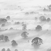 Buy canvas prints of Knitting Fog, Latrigg in the UK Lake District (B&W by Phil MacDonald