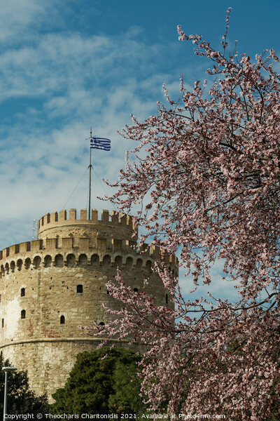 Thessaloniki The White Tower on a spring day against blue sky with clouds.  Picture Board by Theocharis Charitonidis