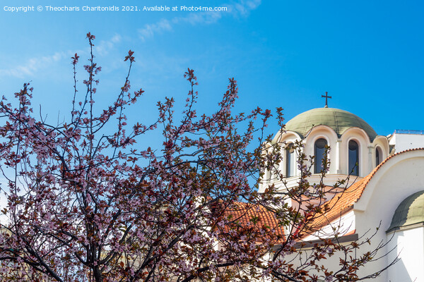 Cherry blossom tree against an Orthodox church. Picture Board by Theocharis Charitonidis