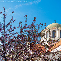 Buy canvas prints of Cherry blossom tree against an Orthodox church. by Theocharis Charitonidis