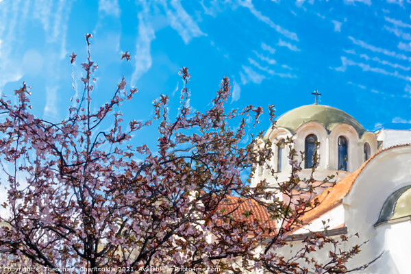 Digital watercolour low angle view of cherry blossom tree with pink & red flowers on branches before Christian church. Picture Board by Theocharis Charitonidis
