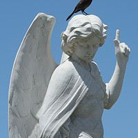 Buy canvas prints of Cemetery Angel by Merrimon Crawford