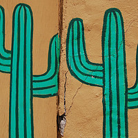 Buy canvas prints of Cacti by Merrimon Crawford