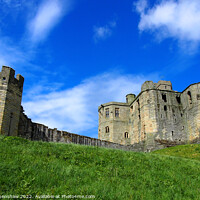 Buy canvas prints of Walkworth castle in Northumbria  by Philip Openshaw