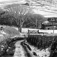 Buy canvas prints of Snow on Badger Lane by Philip Openshaw