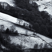 Buy canvas prints of january boundaries by Philip Openshaw