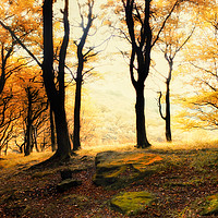 Buy canvas prints of misty morning autumn forest sunrise in calderdale by Philip Openshaw